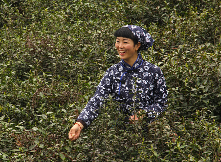 侦探社直播